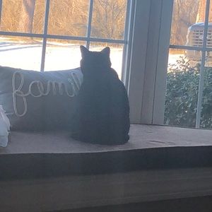 Meet your Posher, Kathy